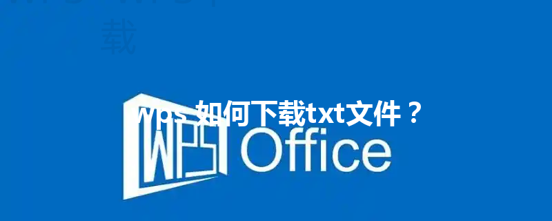 wps 如何下载txt文件？ 三