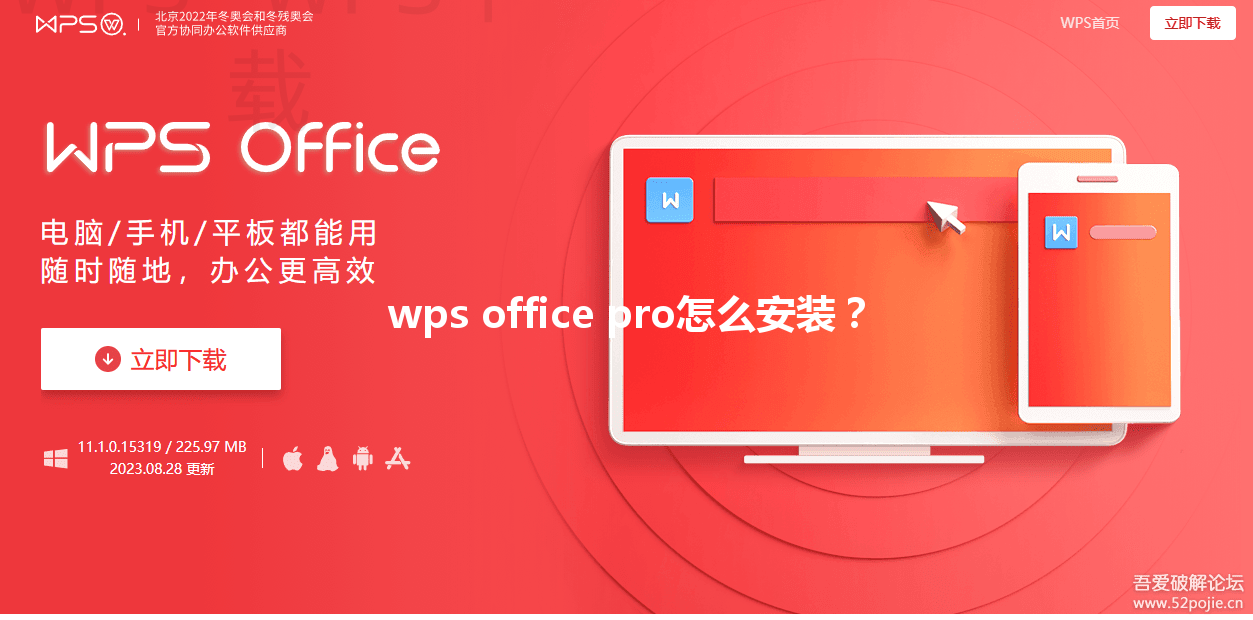 wps office pro怎么安装？ 三